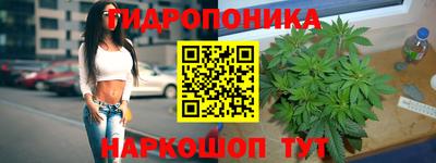 тгк Пушкино