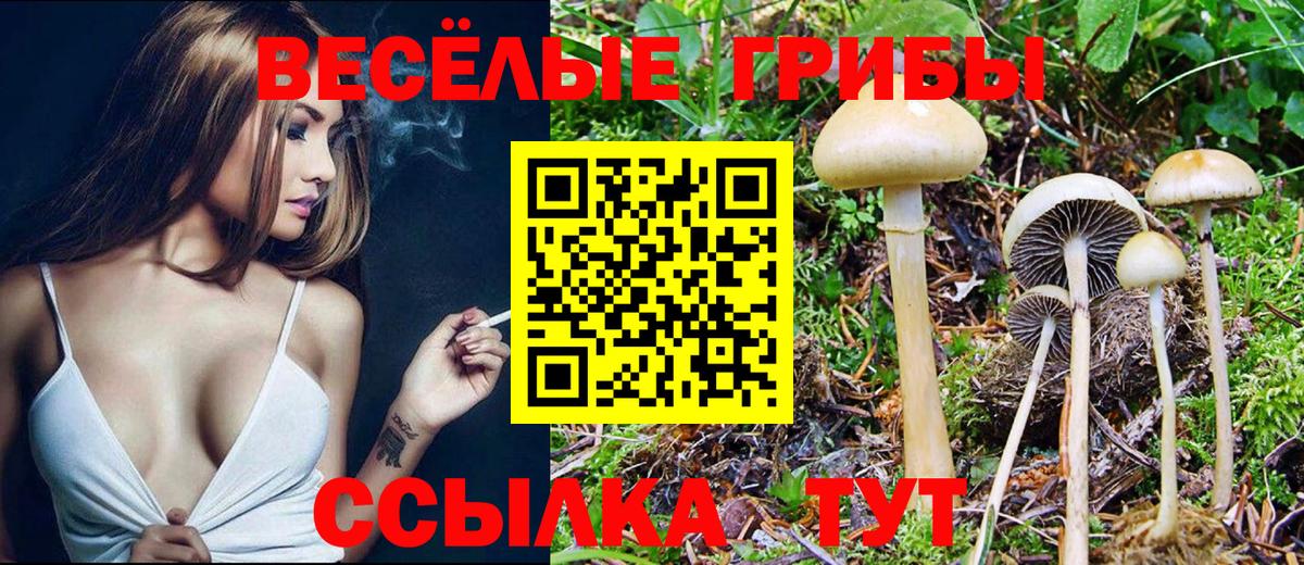 Новокузнецк  Галлюциногенные грибы Magic Shrooms  Псилоцибиновые грибы Magic Shrooms  Вход с VPN 