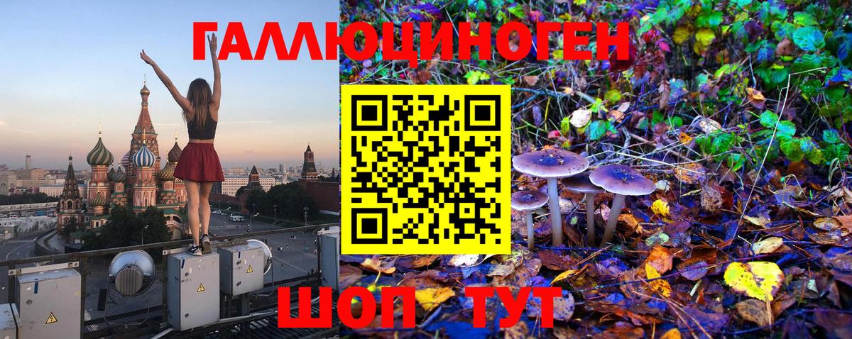 Галлюциногенные грибы мицелий Новокузнецк